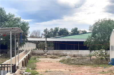 Phạt doanh nghiệp xả thải gây ô nhiễm môi trường hơn 227 triệu đồng