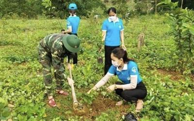 Phát động các cấp Hội, hội viên, phụ nữ cả nước trồng cây xanh