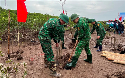 Phát huy vai trò các vùng đất ngập nước ở Việt Nam