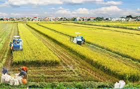 Phát triển các hình thức liên kết giữa doanh nghiệp và hộ nông dân trong sản xuất nông nghiệp qua thực tiễn tỉnh Thái Bình