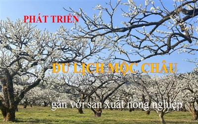 Phát triển du lịch Mộc Châu gắn với sản xuất nông nghiệp