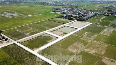 Phó Chủ tịch huyện nói gì về việc em ruột trúng đấu giá 23 lô đất?
