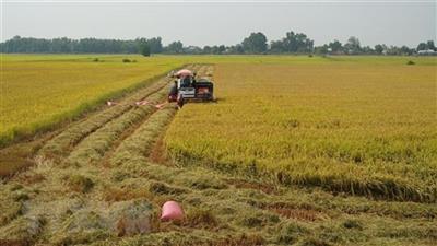 Phó Thủ tướng: Chấp thuận cho tỉnh Long An chuyển mục đích sử dụng đất