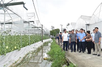 Phó Thủ tướng Lê Thành Long kiểm tra công tác khắc phục hậu quả bão số 3 tại Hải Dương
