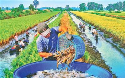 Phòng, chống hiện tượng thời tiết cực đoan do biến đổi khí hậu