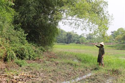 Phú Bình: Trang trại sát khu dân cư gây ô nhiễm môi trường