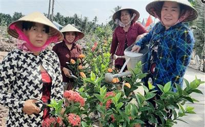 Phụ nữ Cù Lao Dung bảo vệ môi trường gắn với xây dựng nông thôn mới