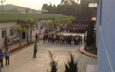 Phú Thọ: Vi phạm môi trường, một công ty nước ngoài bị xử phạt hơn 470 triệu đồng