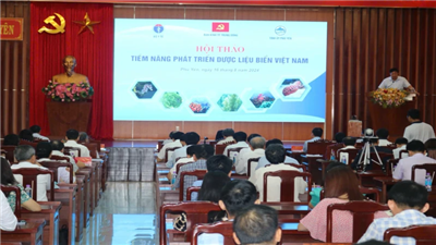 Phú Yên khai thác tiềm năng dược liệu biển
