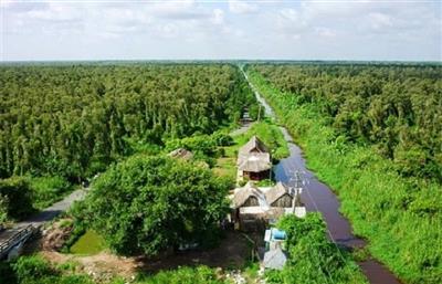 Quản lý bền vững tài nguyên đất than bùn ở Vườn Quốc gia U Minh Hạ