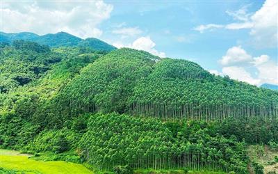 Quảng Bình: Bán không khí thu về hơn 82,4 tỷ đồng