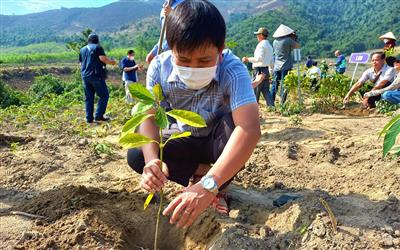 Quảng Bình triển khai trồng 100ha rừng đầu nguồn Sông Gianh bằng cây bản địa
