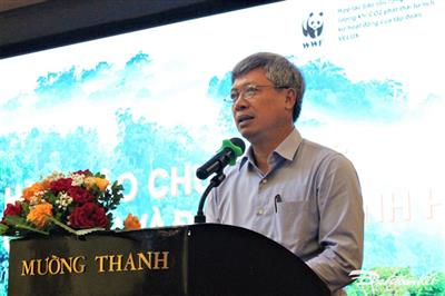 Quảng Nam: Nỗ lực tham gia thị trường carbon để giữ rừng