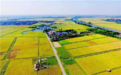 Quảng Nam tập trung sửa đổi cơ chế, chính sách đất đai