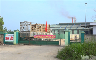 Quảng Ngãi phạt 330 triệu đồng doanh nghiệp xả nước thải có chứa xyanua vượt ngưỡng ra môi trường