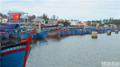 Quảng Ngãi yêu cầu quản lý chặt chẽ tàu, thuyền ra biển hoạt động