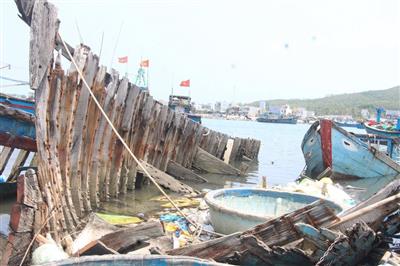 Quảng Ngãi: “Báo động đỏ” ô nhiễm tại cảng cá Sa Huỳnh