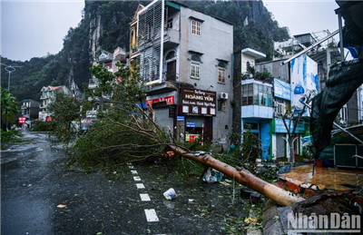 Quảng Ninh: Bão số 3 khiến 17 người thiệt mạng, 536 người bị thương