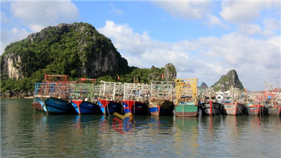 Quảng Ninh chủ động ứng phó với bão số 3