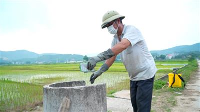 Quảng Ninh: Hội Nông dân triển khai nhiều hoạt động thiết thực bảo vệ môi trường