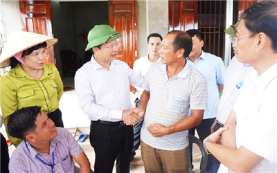 Quảng Ninh: Phát triển hạ tầng giao thông gắn với bảo vệ cảnh quan môi trường