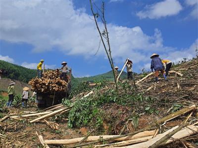 Quảng Ninh: Tăng độ che phủ rừng để bảo vệ nguồn nước