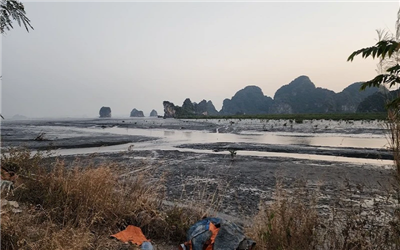 Quảng Ninh: Xử phạt Công ty Trách nhiệm hữu hạn Đỗ Gia Capital 125 triệu đồng