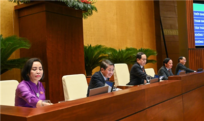 Quốc hội nhất trí giám sát tối cao việc thực hiện chính sách, pháp luật về bảo vệ môi trường