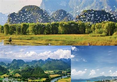 Quốc hội thành lập Đoàn giám sát chuyên đề về bảo vệ môi trường