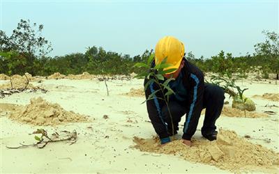 Quy định mức thu, chế độ thu, nộp, quản lý và sử dụng phí thẩm định phương án cải tạo, phục hồi môi trường