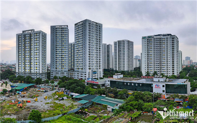 Quy hoạch 7 ô đất xây trường công lập ở quận đông dân nhất Hà Nội