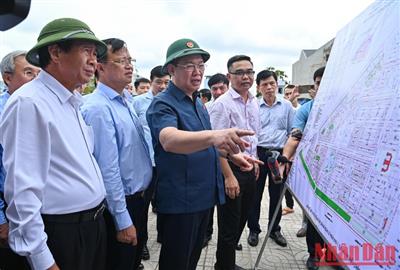 Quyết liệt thực hiện đúng tiến độ Dự án Cảng hàng không quốc tế Long Thành