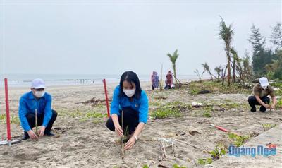 Ra quân trồng cây tại biển Mỹ Khê