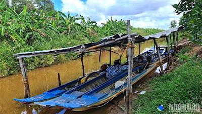 Rừng tràm Cà Mau “cảnh báo đỏ” hơn 6.000ha