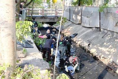 Sài Gòn Xanh phủ xanh từng kênh rạch