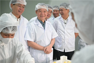 Sầu riêng Việt Nam cần giữ vững chất lượng, chinh phục thị trường cao cấp