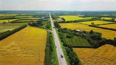 Sẽ đánh giá và cho ý kiến về 12 nội dung mới của Dự thảo Luật Đất đai (sửa đổi)
