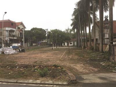 Sớm cấp lại đất cho di tích chùa Vàng