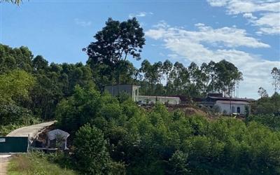 Sông Lô - Vĩnh Phúc: Trang trại chăn nuôi lợn xây dựng trái phép trên đất rừng sản xuất