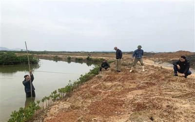 Sử dụng hiệu quả đất bãi sông