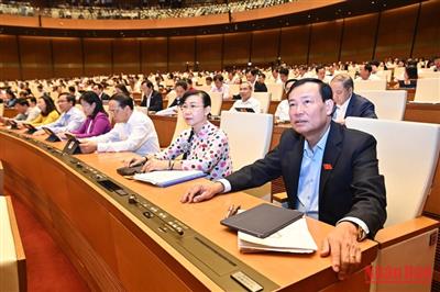 Sửa đổi Luật Đất đai: Bảo đảm sinh kế bền vững cho người có đất bị thu hồi