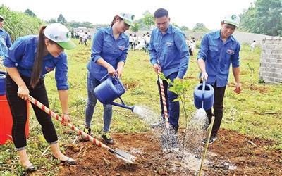 Tăng cường xã hội hóa, thu hút mọi nguồn lực, nhằm hoàn thành mục tiêu trồng một tỷ cây xanh