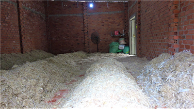 Tây Ninh: Cơ sở sơ chế lông gia cầm gây ô nhiễm trong khu dân cư