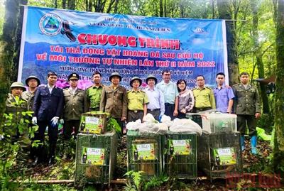 Thả 20 cá thể động vật hoang dã về rừng Hoàng Liên ở Sa Pa