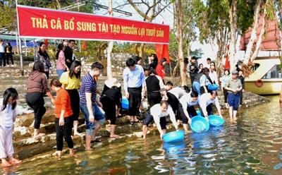 Thả cá lòng hồ Thác Bà: Ích nước, lợi nhà