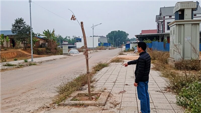 Thái Nguyên: Vắng bóng cây xanh tại các khu tái định cư ở thành phố Phổ Yên