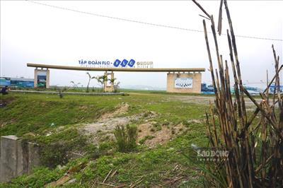 Thanh Hóa: Dự án khu công nghiệp FLC gần 300 ha trở thành bãi chăn trâu
