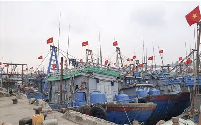 Thanh Hóa: Giữ “màu xanh” cho cảng cá