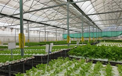 Thanh Hóa: Nhiều giải pháp bảo vệ môi trường trong nông nghiệp