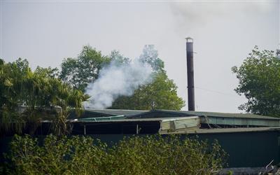 Thanh Hóa: Ô nhiễm môi trường từ xưởng than trái phép